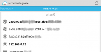 Netzwerkdiagnose screenshot 2