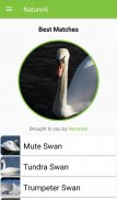 NatureAi: Nature Identification - Nature Scanner screenshot 6