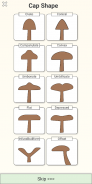 Shroomify - Mushroom Identific screenshot 1