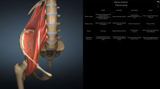 Anatomy Learning - 3D Anatomy screenshot 11