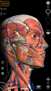 Anatomy 3D Atlas screenshot 9