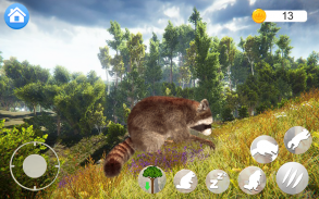 Talking Raccoon screenshot 0