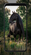 Horse Wallpapers screenshot 0