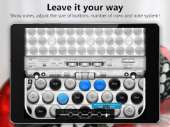 Accordion Chromatic Button screenshot 9