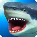 Shark Simulator Icon