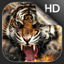 Tiger Fond d'écran Animé Icon