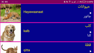 Learn Arabic From Urdu screenshot 12