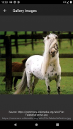 Horse breeds - Photos screenshot 5