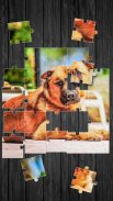 Cute Dogs Jigsaw Puzzle screenshot 3