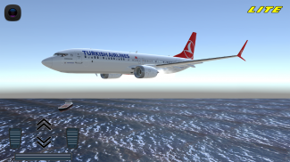 Flight 737 - MAXIMUM LITE screenshot 6