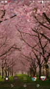 Spring Cherry Blossom Live Wallpaper FREE screenshot 7