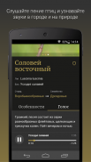 Ptushki – Определитель птиц Беларуси screenshot 4