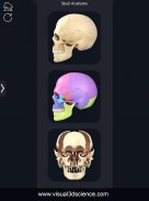 Skull Anatomy Pro. screenshot 13