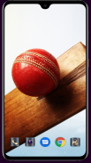 Cricket Bat Wallpaper screenshot 12