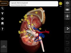 Anatomy 3D Atlas screenshot 10