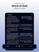 Hebrew Bible Study Translation screenshot 11