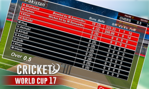 Cricket Cup screenshot 3
