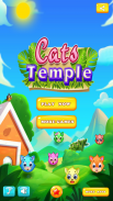 Cats Temple screenshot 5