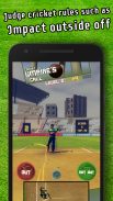 Cricket LBW - Umpire's Call screenshot 5