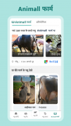 Gaay bhains (गाय भैंस) wala app - Animall screenshot 3