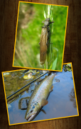 Fly Fishing Lessons Fly Tying screenshot 5