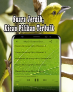Suara Burung Sirtu Pikat MP3 screenshot 5