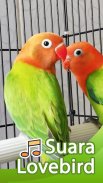 Suara Lovebird : Master Lovebird screenshot 0