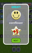 Guess the Flower screenshot 4