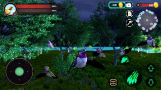 The Hummingbird screenshot 15