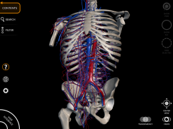 Anatomy 3D Atlas screenshot 7