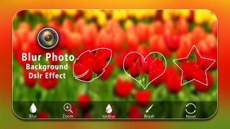 Blur Photo Background dslr Camera Effect screenshot 2