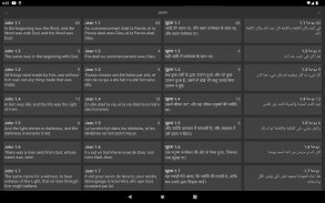 Bible Multi "The Light" screenshot 10