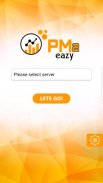 PM2eazy - PMO Tool for Microsoft Project screenshot 11