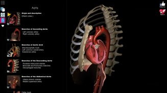 Anatomy Learning - 3D Anatomy screenshot 5