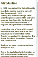 New York City Travel screenshot 8