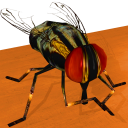 Be the Fly - Baixar APK para Android | Aptoide