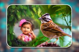 Birds Photo Frames screenshot 1