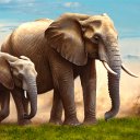 Elephant Simulator Animal Game Icon