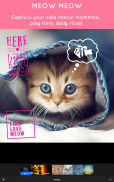 Pet Pictures - Фоторедактор - Pet Face Обои screenshot 13