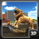 wild lion city attack 3D