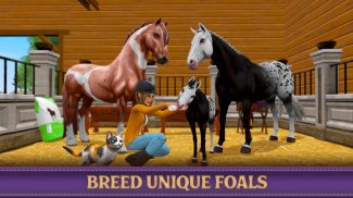 Star Equestrian - Horse Ranch screenshot 15