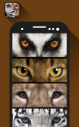 FotoMix -Animal Face Morphing screenshot 4