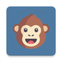 Coding Monkey - Learn Programming