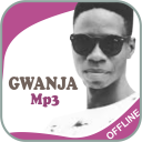 Wakokin Ado Gwanja Icon