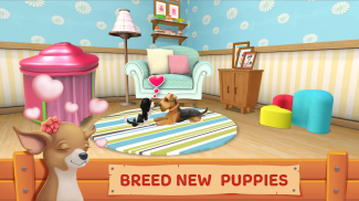 Dog Town: Pet Shop Game, Care & Play with Dog screenshot 1