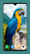 Parrot Wallpapers 4K screenshot 10