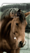 Horse Wallpaper HD: Themes screenshot 2