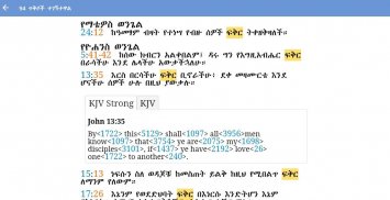 Iota Amharic Bible screenshot 0