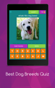 Best Dog Breeds Quiz screenshot 15