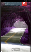 Tree Tunnel WPs screenshot 2